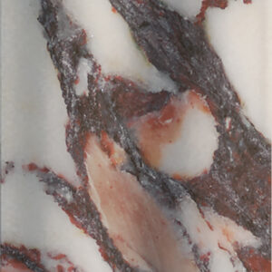 Maximalista calacatta viola roman regular m²