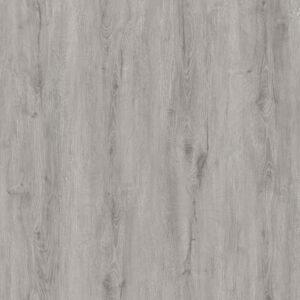 Gran Canaria Plank Click