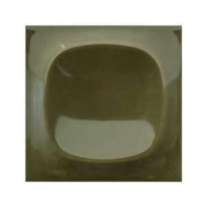 Pop groovy muschio glossy m²