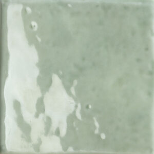 Vicentina salvia glossy m²