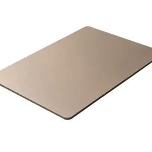 Oppio 120x280x0.5 cm - Metaal Wandpaneel RVS ZENITH